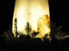 db_dsc_07333