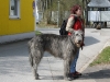 ausflug2010_0057