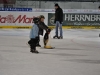 db_dsc_01242 db_dsc_01242