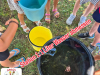 IMG_20250705_142728_713