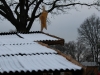 ckm2012_0089
