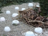 ckm2012_0231