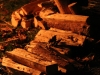 ckm2012_0291