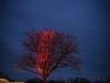 ckm2013_0240