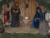 ckm2013_0381