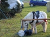 ckm2013_0050