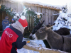 DSC08923-01