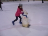 eislauf-20150067