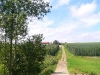 hopfen_0049