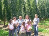 hopfen_0051