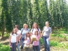 hopfen_0052