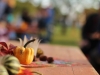 kuerbisfest_20150046