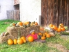 kuerbisfest_0058