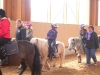 reiten2011_0048