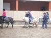 reiten2011_0051