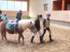 reiten2011_0061