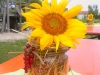 sommerfest2012_0065