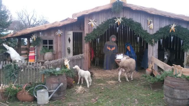 2016-11-26-photo-00000312-1